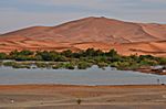 Eindrücke in der Sahara