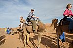 .. mit dem Kamel auf in die Wüste!