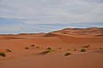 Eindrücke in der Sahara